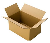 Carton standard