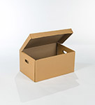Carton archives